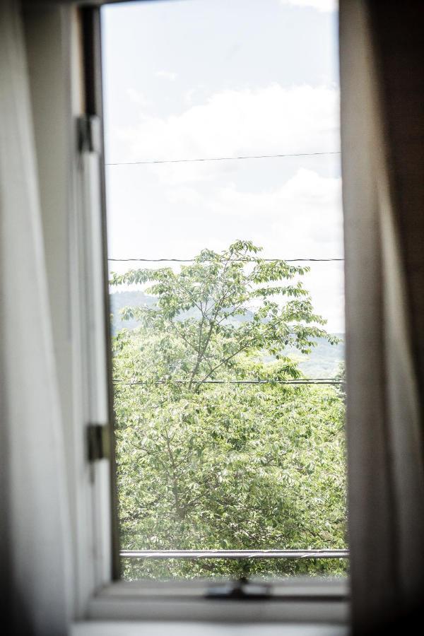 Fairytale Loft Suite 1 Bed, 1 Bath Luxury Apartment In Downtown Belmont Charlottesville Bagian luar foto